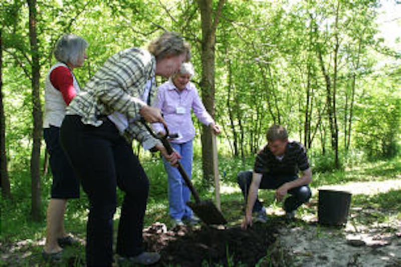 Williams family descendants plant pawpaw trees at original site.