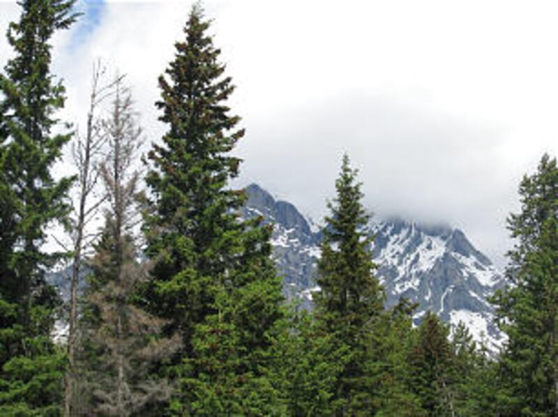 Attendees at Mormon History Association Conference enjoyed Banff National Park and Lake Louise in pr