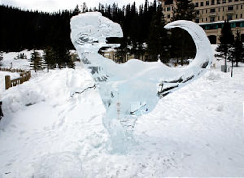 A frozen dinosaur is one entry in an ice sculpting competition at Lake Louise, one of the attraction