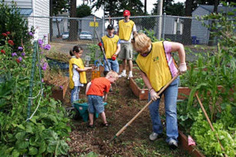 Volunteers of all ages from the Gresham Oregon Stake labored diligently on July 25 to repair a publi