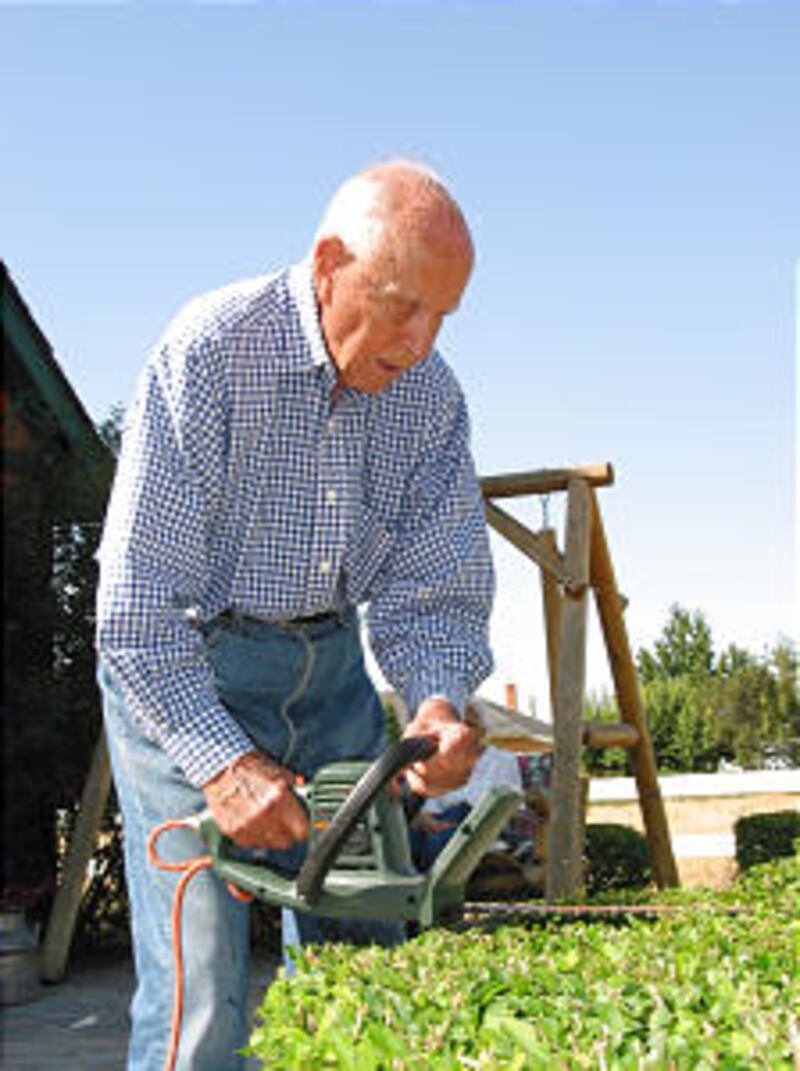 Elder David B. Haight trims hedge outside his Oakley, Idaho, home.