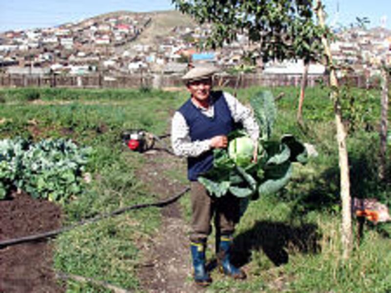 A war veteran is among those helped by Church humanitarian farm project.