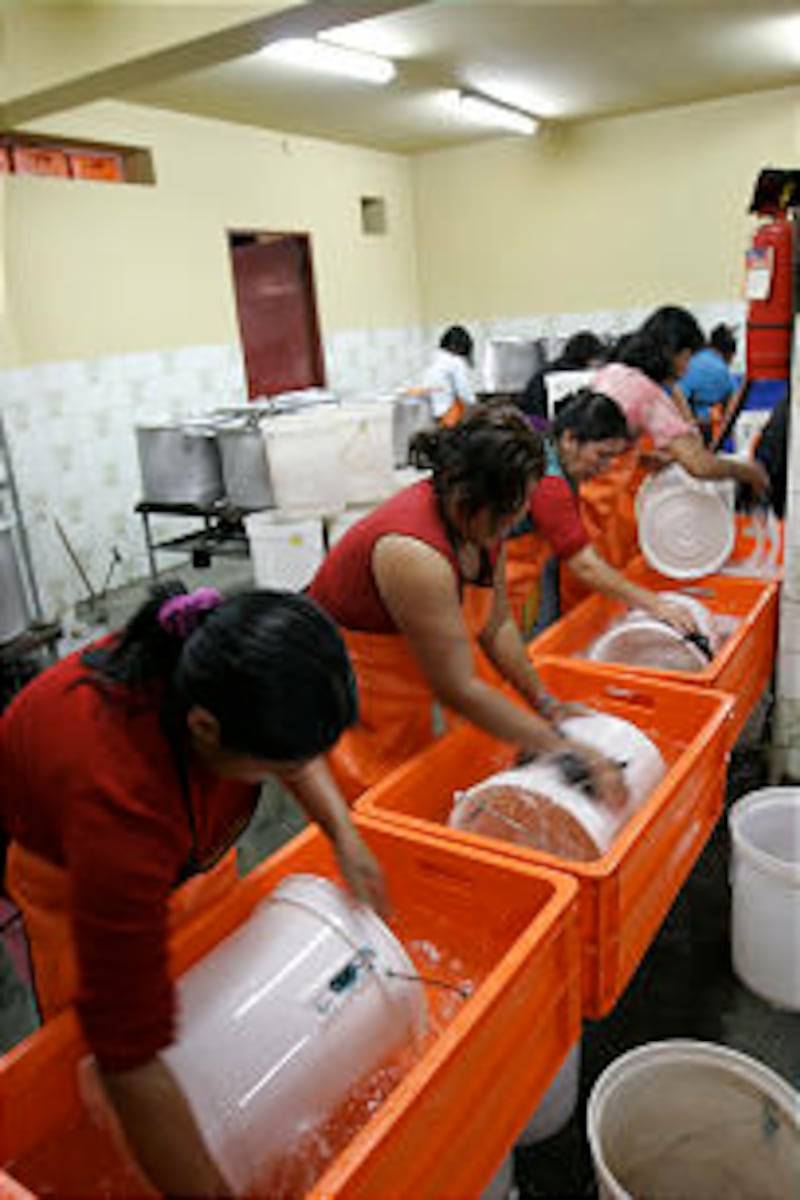 Parents volunteer to scrub large plastic buckets that are used each weekday to transport oatmeal and