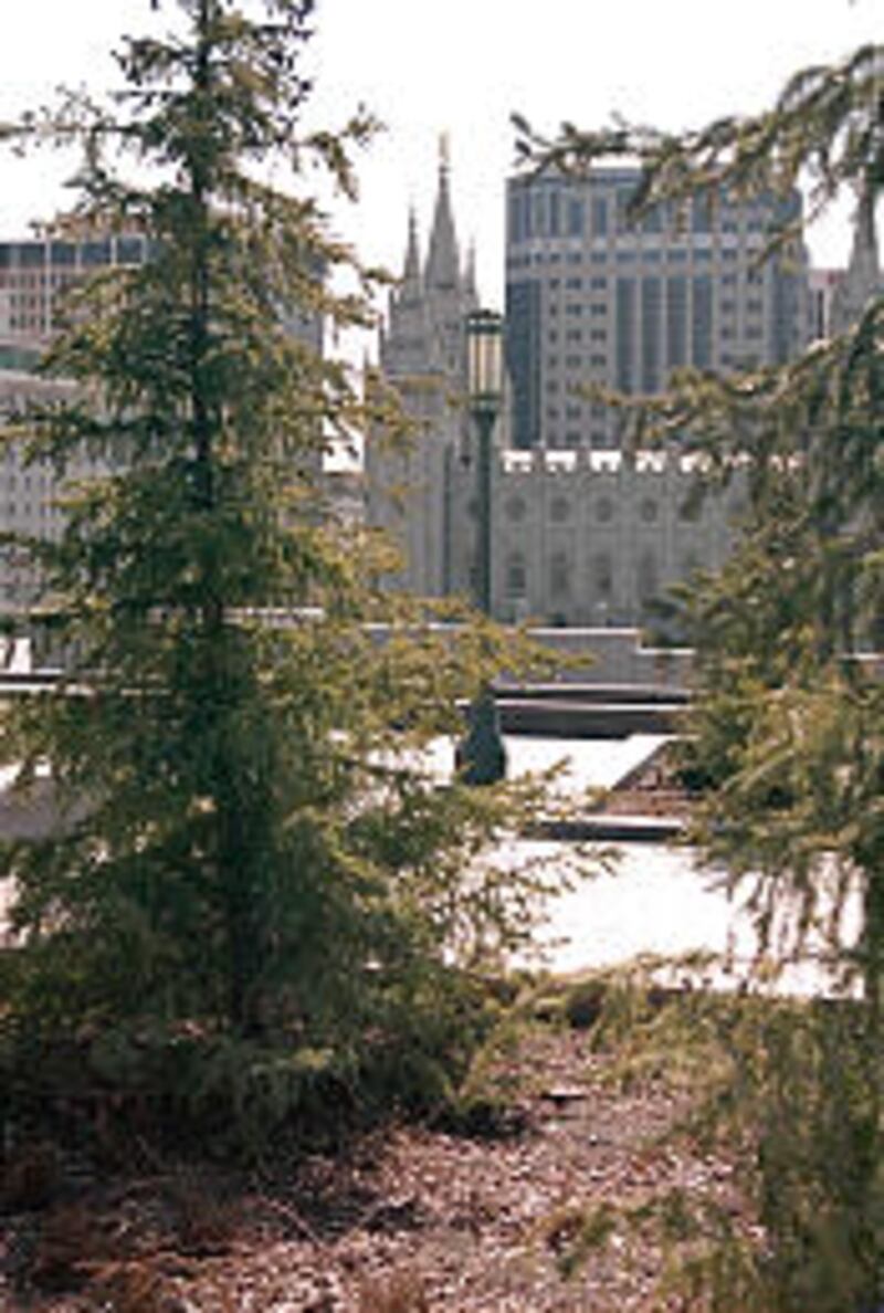 The Salt Lake Temple is one of the many impressive sites that can be viewed from the rooftop.