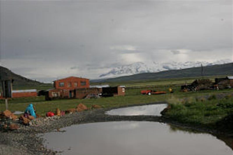 The snow-capped Andes surround the open lands of the Bolivian Altiplano. Located some 14,000 feet ab