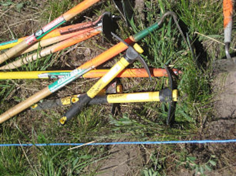 Tools used to plant seedlings.