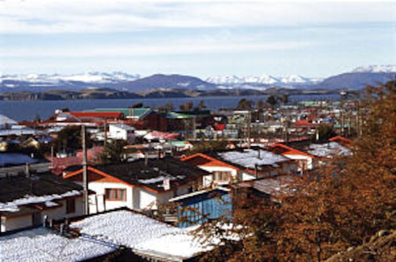 A small branch thrives at Puerto Williams, Chile, the most southern city on the globe.