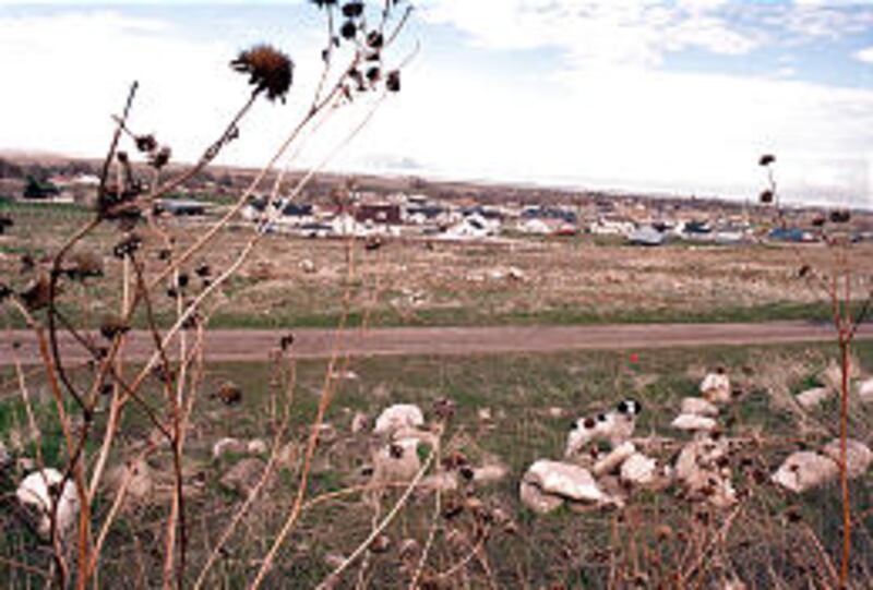 A scattering of new homes in area near Great Salt Lake are evidence of growth in Lake Point.