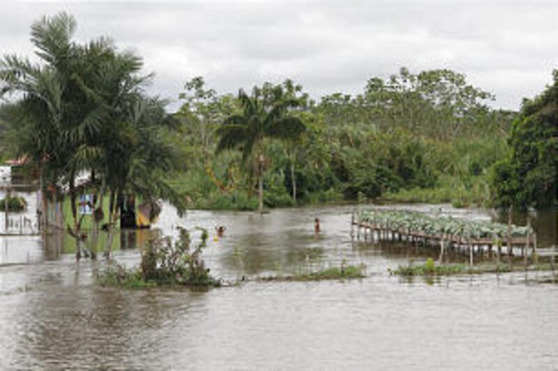 Since the first stake was organized in Manaus, Brazil, in 1988, The Church of Jesus Christ of Latter
