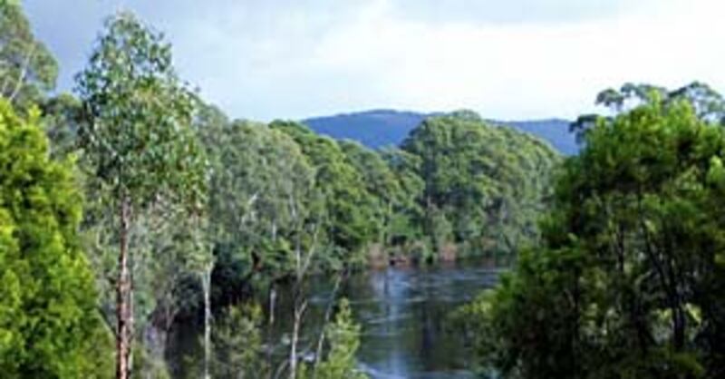 Huon River was site of early baptisms. Thickly forested terrain in valley was cleared by settlers ov