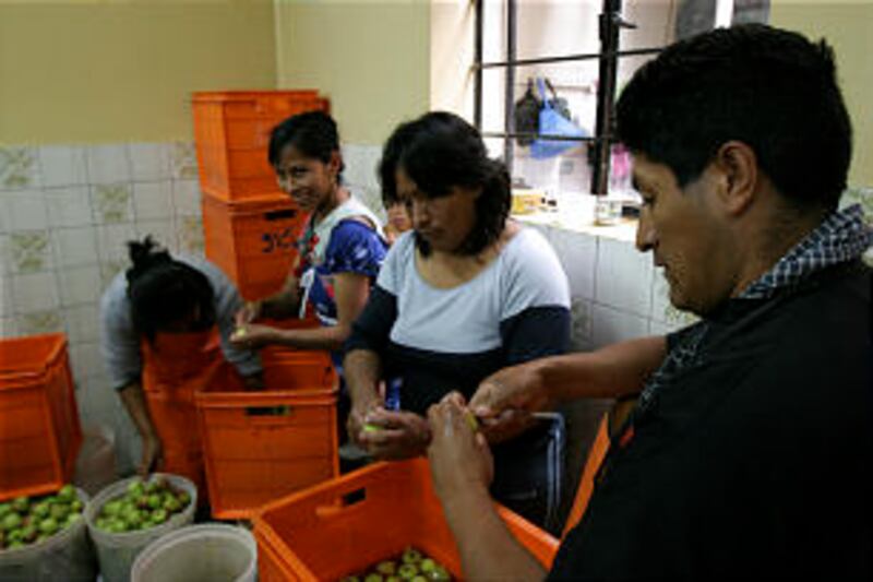 Parent volunteers slice apples that will add flavor and nutrients to the day's oatmeal.