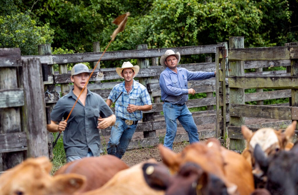 How Deseret Ranches of Florida — one of the largest U.S. cow-calf ...
