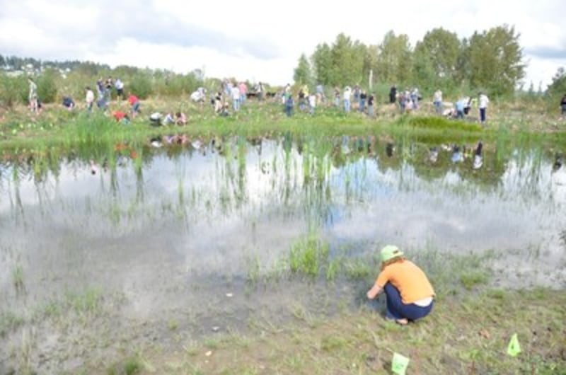 Wetlands restoration.