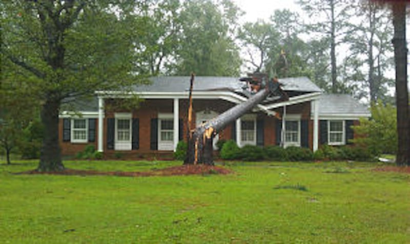 A tree snaps in half and lands on a house in North Carolina after Hurricane Irene made landfall Augu