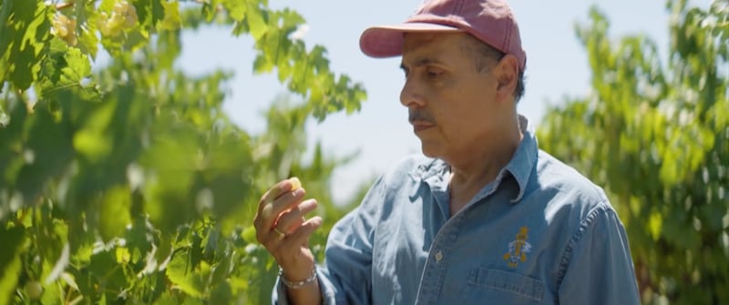 B-roll from José Hernández's virtual RootsTech keynote address shows him examining grapes in a vineyard. The virtual address became available on FamilySearch.org on Feb. 13, 2026.