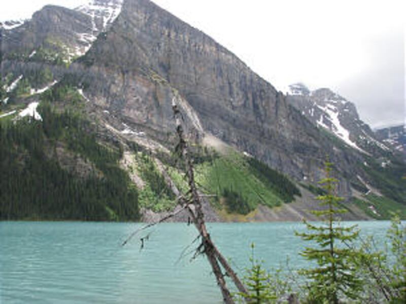 Attendees at Mormon History Association Conference enjoyed Banff National Park and Lake Louise in pr