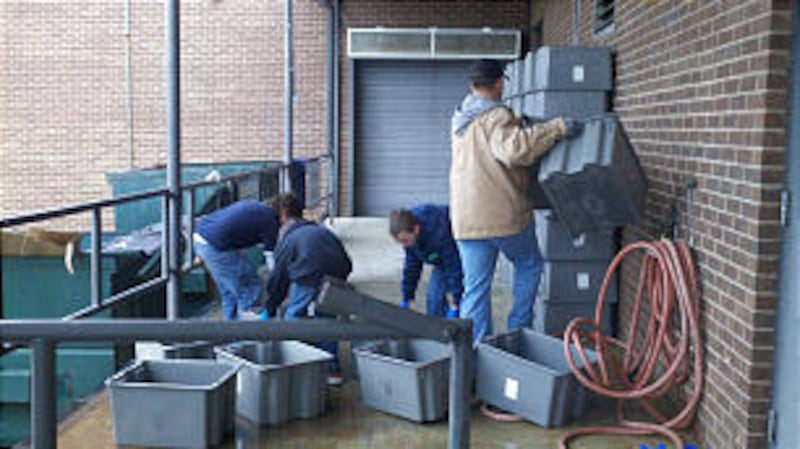 Young men from the Roswell Georgia Stake clean bins and trays to ready them to fill with food order