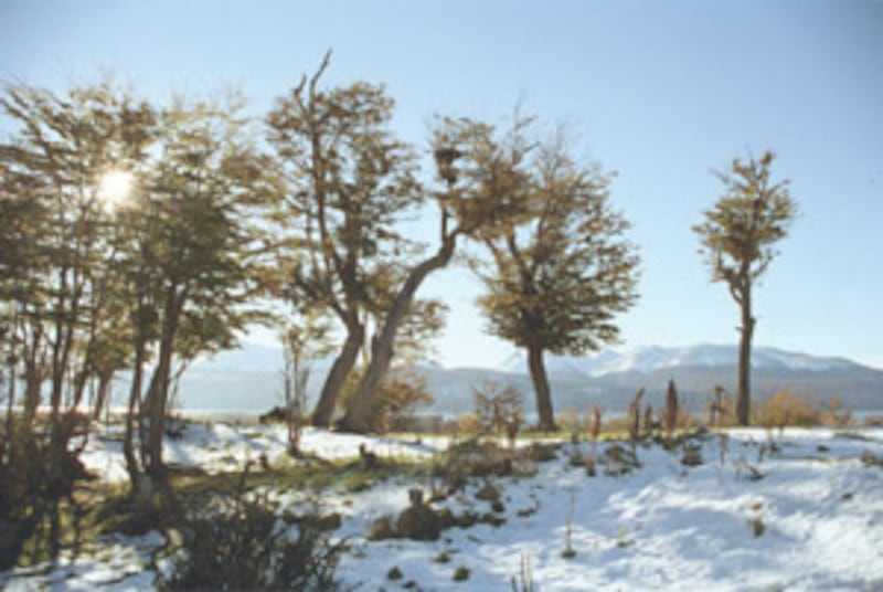 Navarino Island faces harsh climate but its city, Puerto Williams, is sheltered from crime, and othe