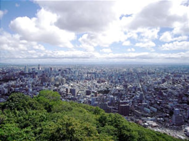 Overlooking Sapporo, Japan, on the northern island of Hokkaido.