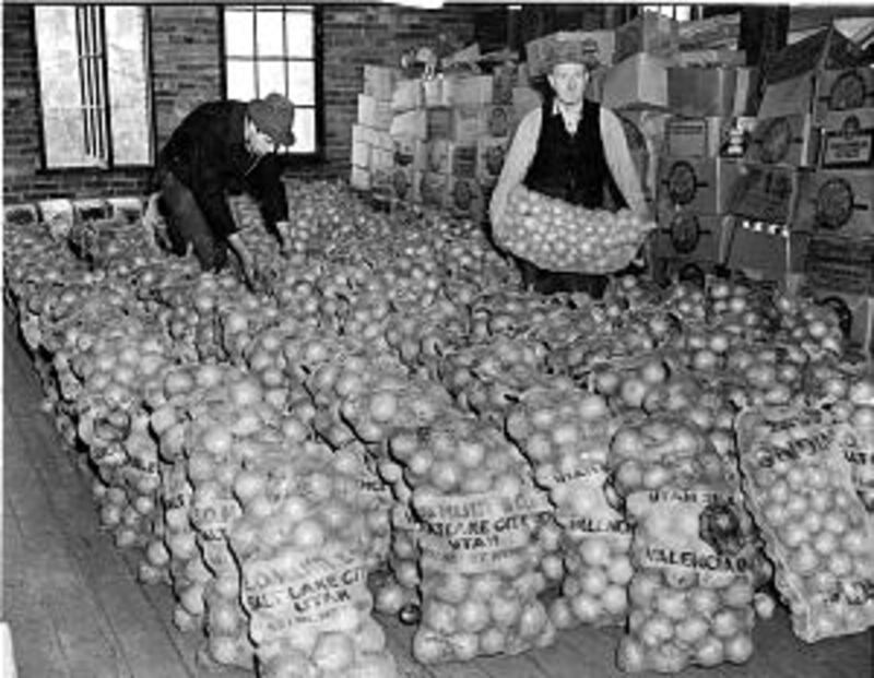 So many onions were donated to Pioneer Stake storehouse in early 1930s that the floor started to buc