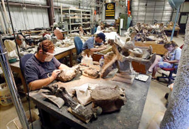 Due to BYU's unusually large fossil collection, students are offered valuable, hands-on learning in