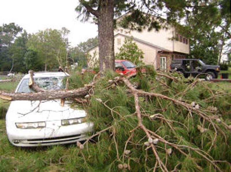 A downed tree in North Carolina lands on a car after Hurricane Irene struck land on August 27.
