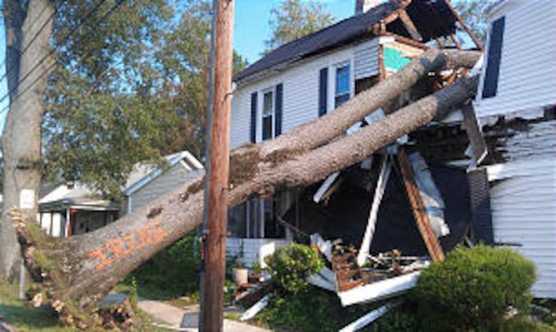 A huge tree in a North Carolina neighborhood, ripped out from its roots by Hurricane Irene, fell int