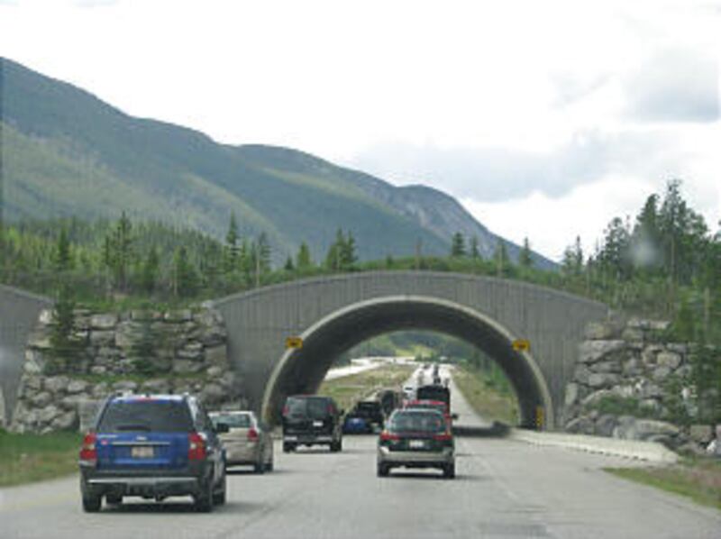 Attendees at Mormon History Association Conference enjoyed Banff National Park and Lake Louise in pr