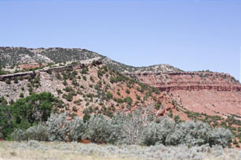 Members of the Martin Handcart Company were rescued by search parties from Salt Lake City, Utah. The