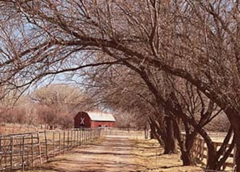 Founded in 1878 along the banks of Silver Creek, Snowflake, Ariz., still has look and feel of a pion