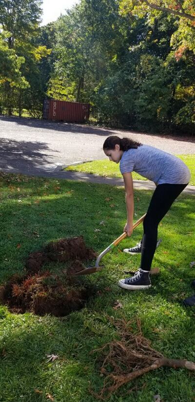 Lindsey Reyes digs a hole for a new tree on the grounds of a senior living center in Fairfield County, Connecticut.