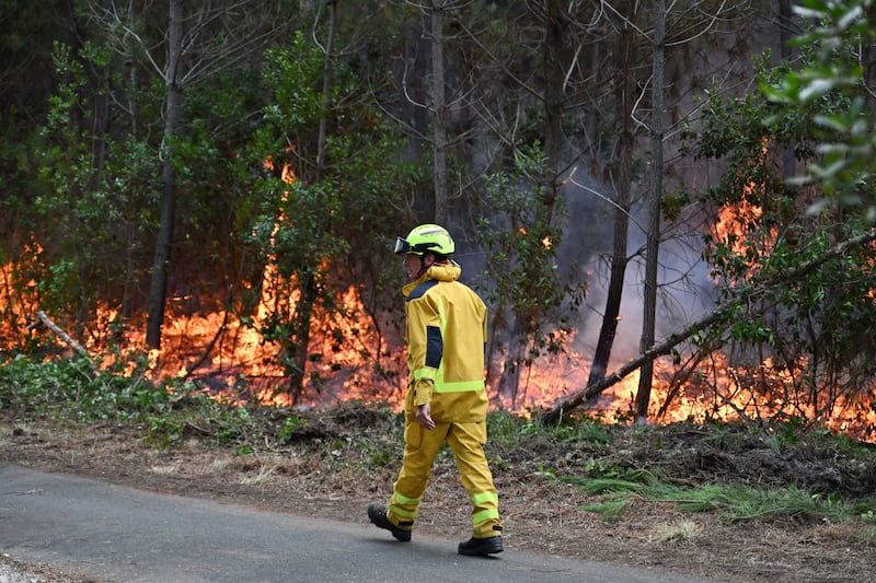 A firefighter walks by a controlled burn area to contain a fire near Lege-Cap-Ferret, during wildfires in southwestern France, Thursday, July 30, 2026.