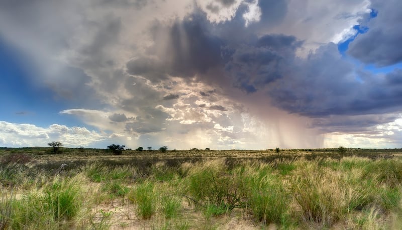 Summer showers form in the Kalahari Desert in South Africa.