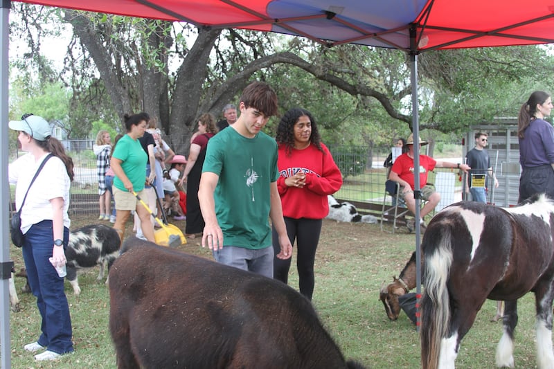 Attendees at "Fiesta 2026" pet animals at the petting zoo booth in San Antonio, Texas, on April 11, 2026. The event featured many different booths and activities throughout the day.