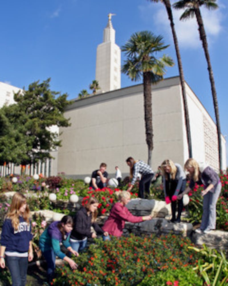 For youth such as these from the Laguna Niguel California Stake helping place low-power Christmas li