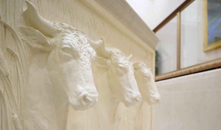 Depictions of oxen beneath the baptismal font of the Torreón Mexico Temple.