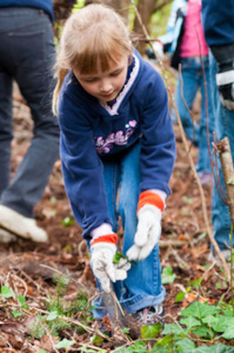 A young girl pulls weeds to serve the community in Lacey, Washington.