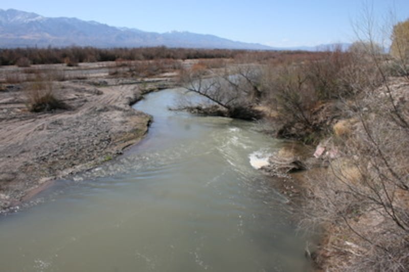 In 1897, settlers arrived in Arizona's Gila Valley, forming pioneer communities along the Gila River