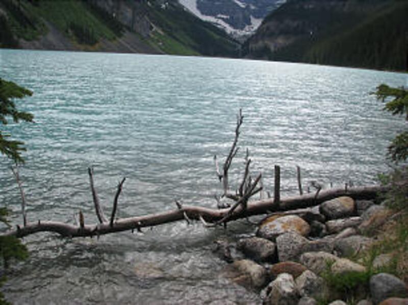 Attendees at Mormon History Association Conference enjoyed Banff National Park and Lake Louise in pr