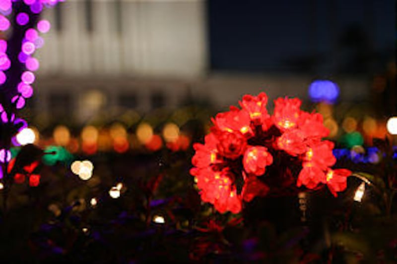 Holiday display at Mesa Arizona Temple grounds features hundreds of thousands of colorful lights to