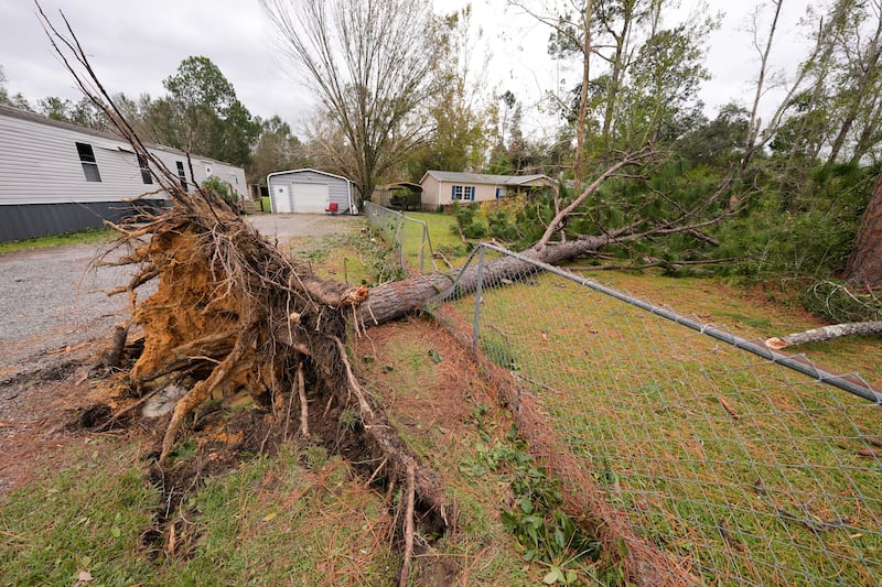 Downed trees are seen in lawns in the aftermath of Hurricane Isaias in Milton, Florida, Saturday, Oct. 10, 2026.