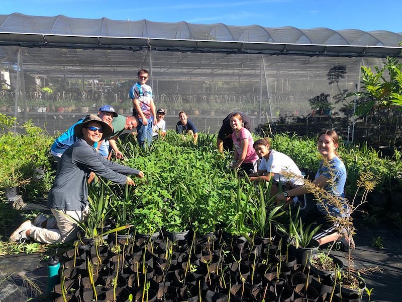 JustServe volunteers work in a plant nursery during the International Day of Service in Quebradillas, Puerto Rico.