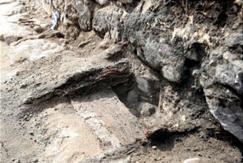 Old timbers preserved they think by stove ashes that had fallen between the floor boards of the old