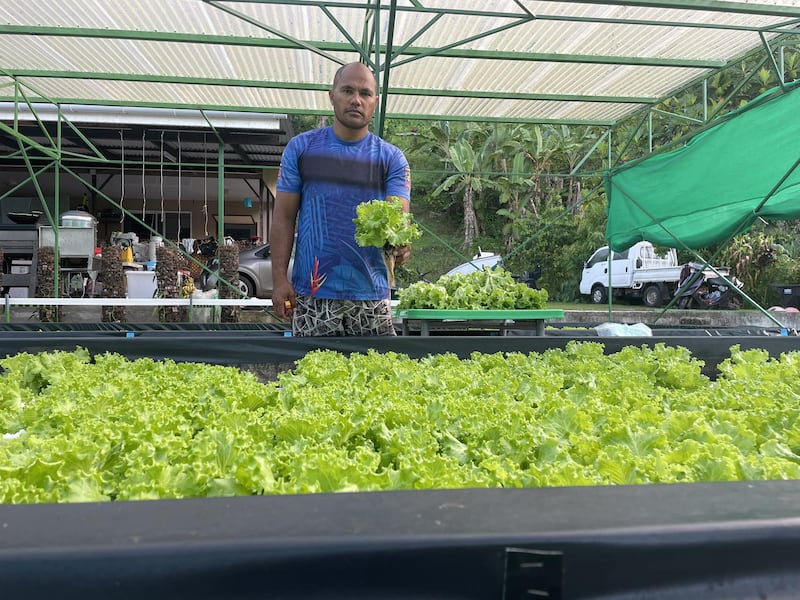 Laman Manarani displays a head of lettuce produced on his aquaponics farm in Taha’a, French Polynesia.
