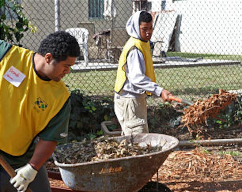 On Saturday, April 28, 2012, thousands of Mormons and other volunteers worked together to serve Cali