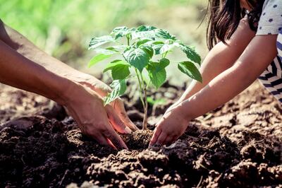 When her family moved into a new home, a young girl helped plant a new tree in the yard. Now she has a home of her own, but the tree remains. As she gazes at the branches stretching heavenward, she remembers that she and her tree were once the same size, and she thinks back on all the living and growing they both have seen — and will yet see in years to come.