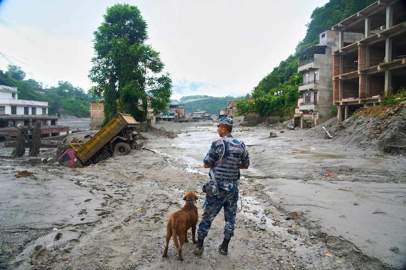 A policeman with a sniffer dog looks at the damage in the aftermath of flash floods in Devighat in the Nuwakot district in Nepal, Thursday, Aug 27, 2026.