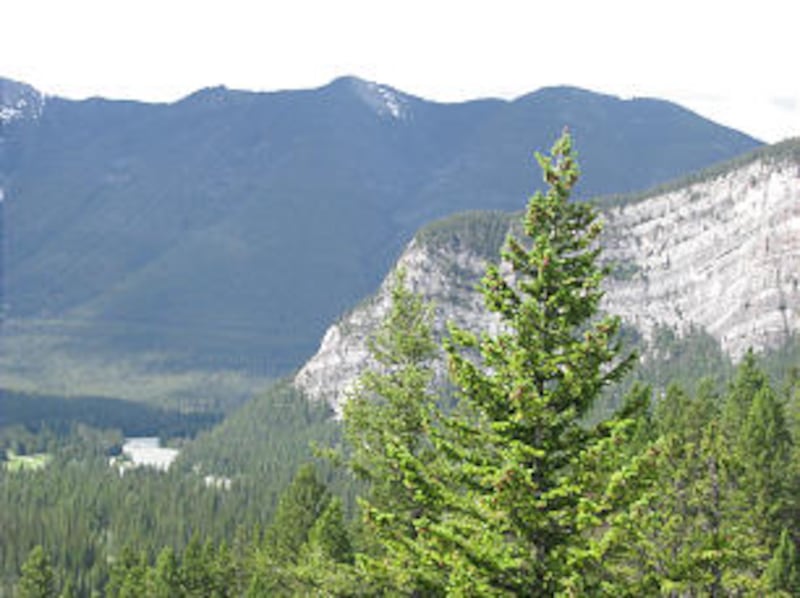 Attendees at Mormon History Association Conference enjoyed Banff National Park and Lake Louise in pr