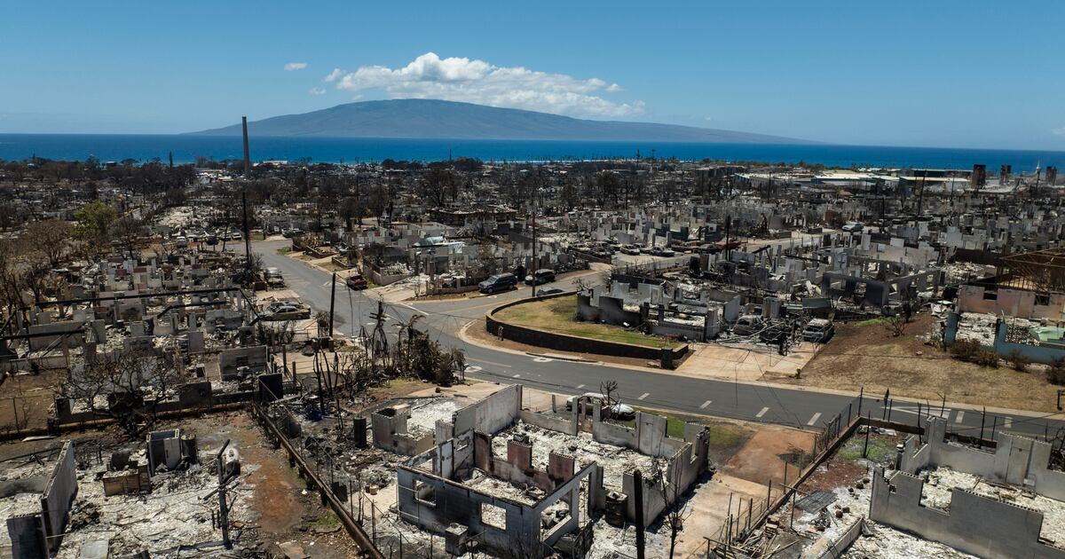 Wildfire destruction