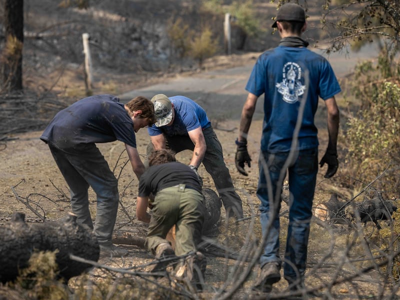 Young men and leaders from the Spokane Washington Mount Spokane Stake help clear debris from a neighborhood damaged by wildfires in Spokane, Washington, on Monday, Aug. 3, 2026.